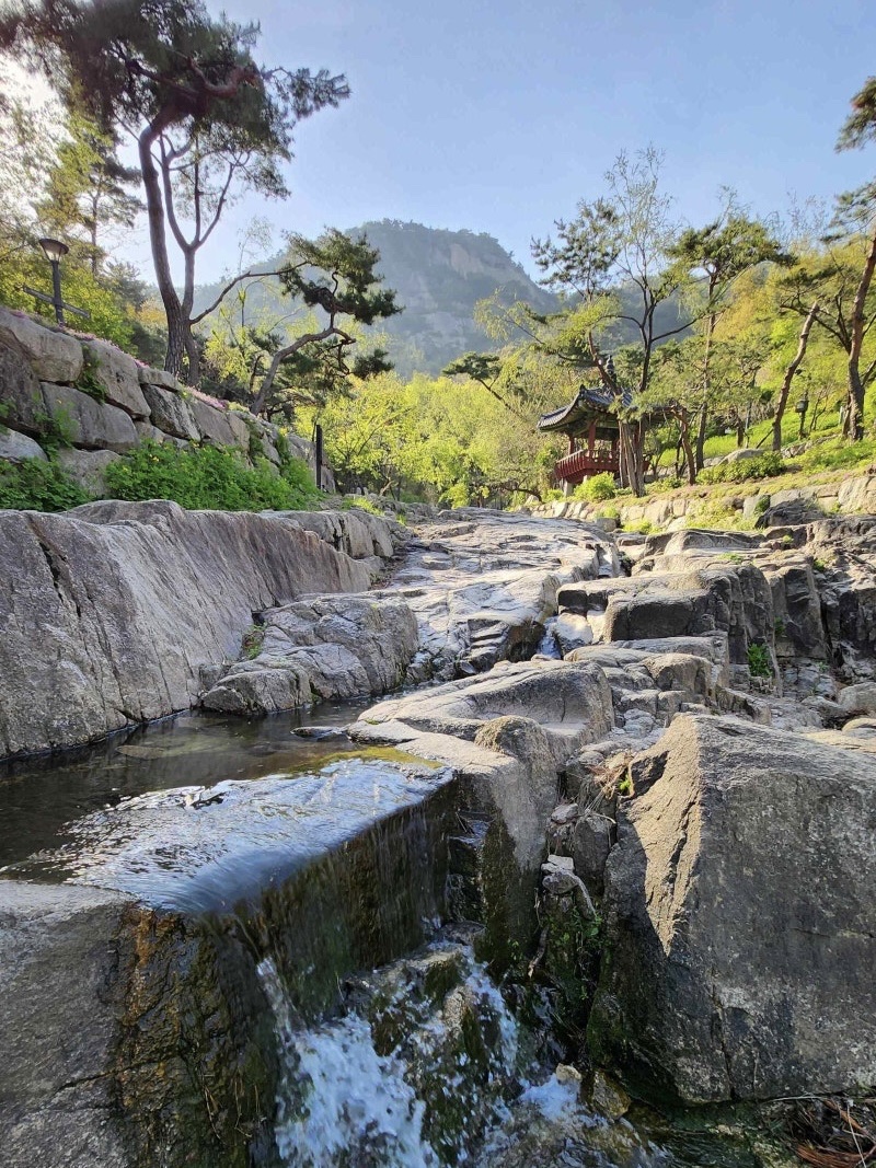 A Summer Wellness Journey Through Seochon